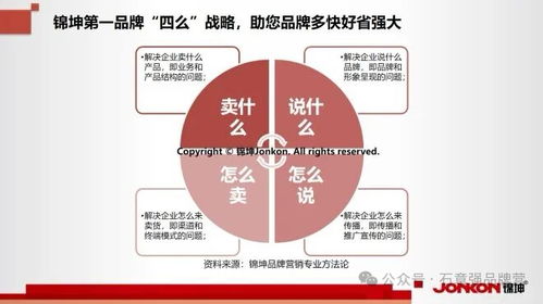 从顶层设计到市场落地 构建企业持续增长的品牌战略与营销体系